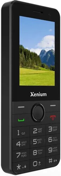 Кнопочный телефон Xenium X900 (черный)