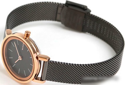 Наручные часы Skagen SKW2492