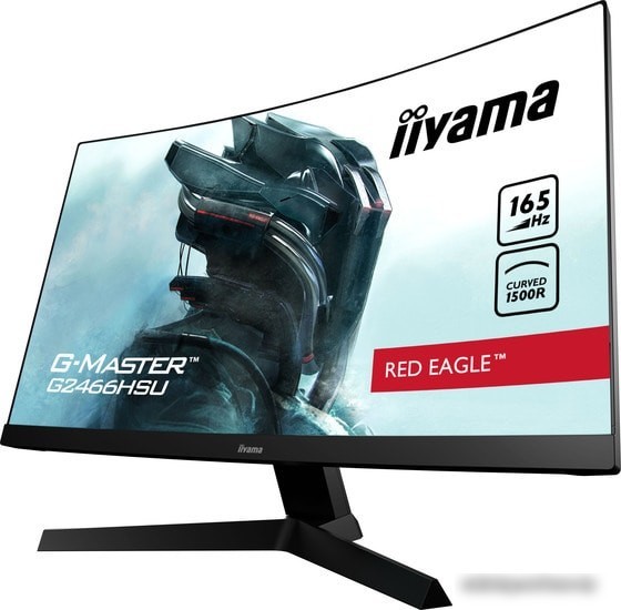 Монитор Iiyama G-Master G2466HSU-B1