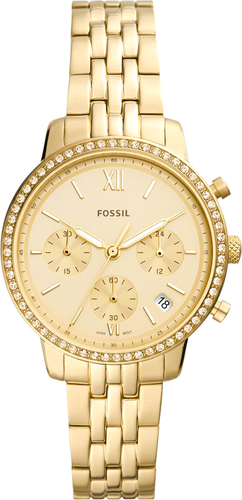 Наручные часы Fossil Neutra ES5219