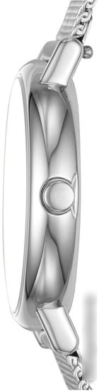 Наручные часы Skagen Signatur Slim SKW2692