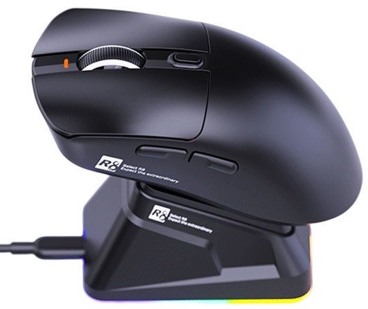 Игровая мышь R8 G313 (черный)