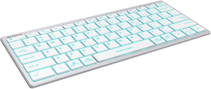 Клавиатура A4Tech Fstyler FX61 (серебристый/белый)