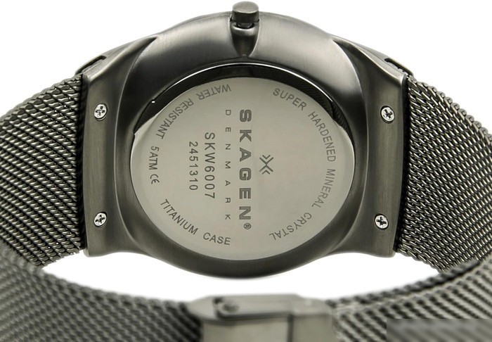 Наручные часы Skagen SKW6007