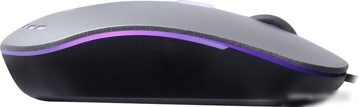 Мышь SmartBuy SBM-288-G