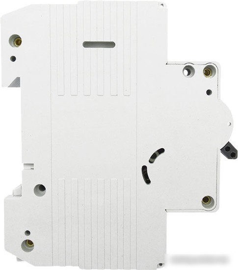Выключатель автоматический Wilderness DAW2-10 2P 10A B 10kA DAW2-10-2-B010
