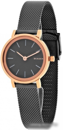Наручные часы Skagen SKW2492