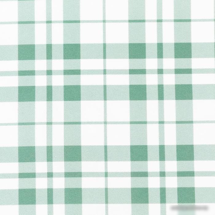 Полотенце Этель Eucalyptus 5511175 (белый/зеленый)