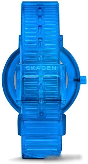 Наручные часы Skagen SKW2855