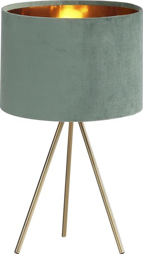 Настольная лампа ST Luce SL6242.704.01