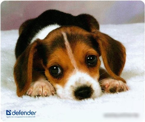 Коврик для мыши Defender Silk (50706)