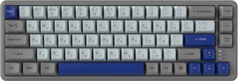 Клавиатура Ritmix RKB-568BL (серый/голубой)