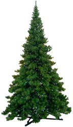 Ель GreenTerra Клеопатра 5 м